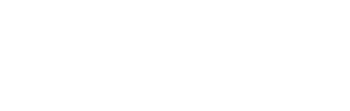 web developer